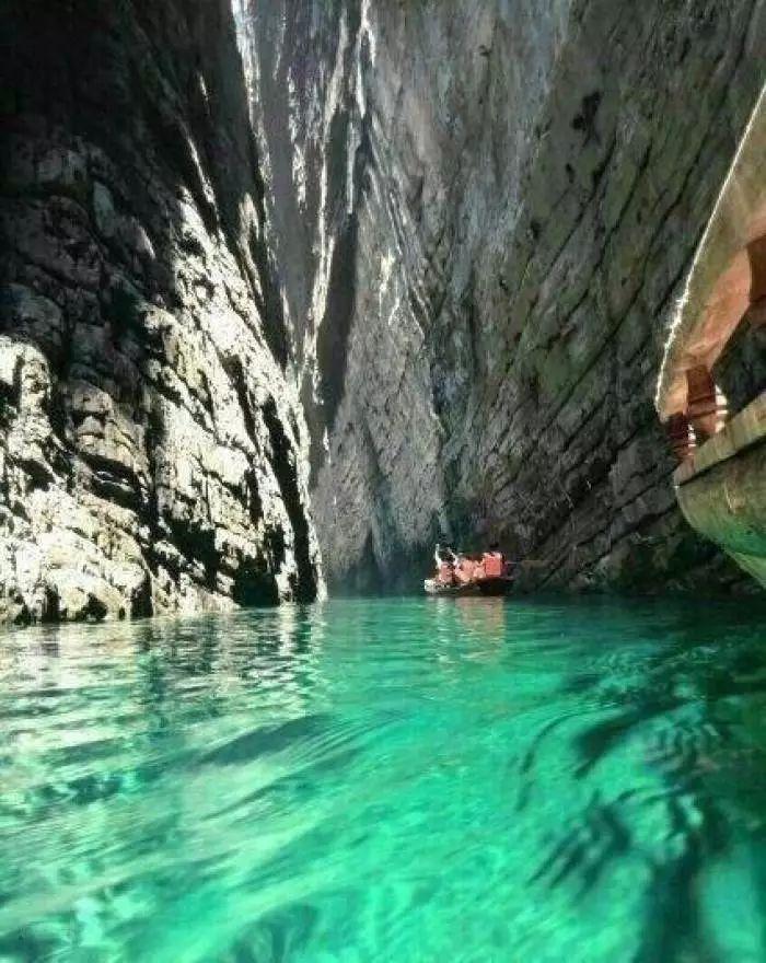 动物帮帮忙保卫家园